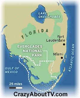 Everglades Cast